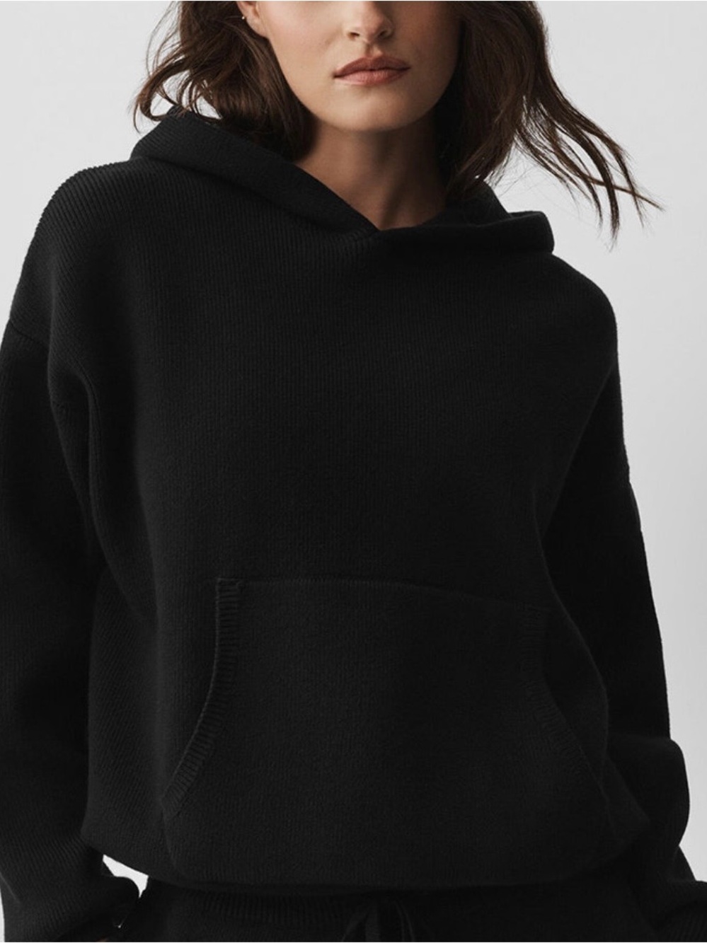 Alo scholar hooded sweater
